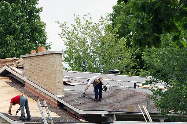 Best Roof Gutter Cleaning  in Mbria, CA
